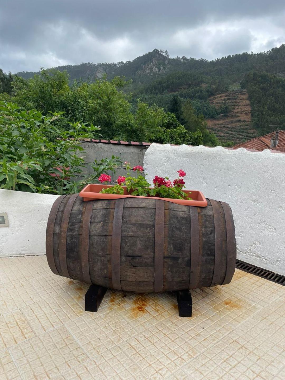 Casa Vila Rosa Penacova Dış mekan fotoğraf